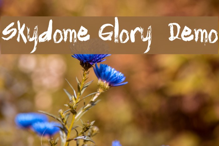 Skydome Glory - Demo Font examples
