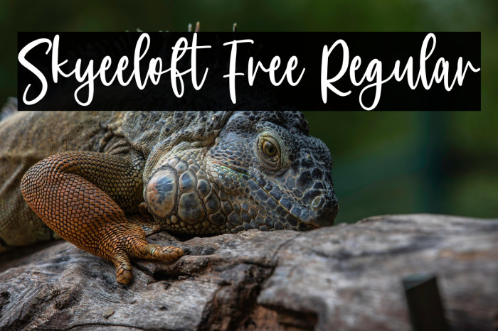 Skyeeloft Free Regular Example 2