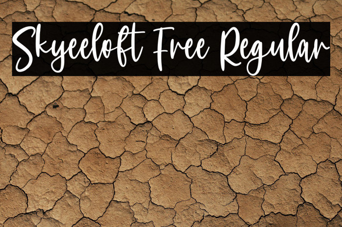 Skyeeloft Free Regular Example 3