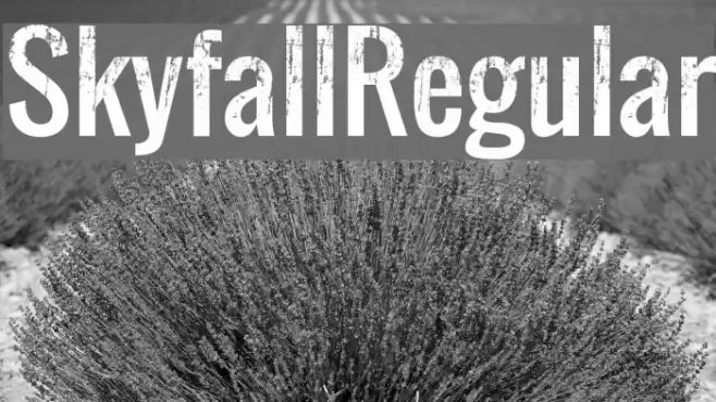 Skyfall Regular フォント examples