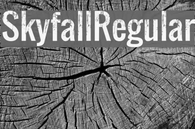Skyfall Regular フォント examples