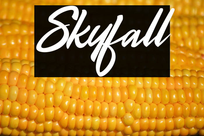 Skyfall Example 1
