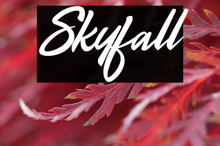 Skyfall Example 2