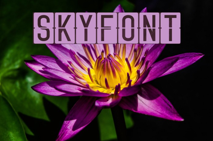 Skyfont Шрифта examples