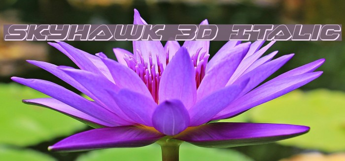 Skyhawk 3D Italic Font examples