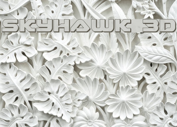 Skyhawk 3D Fuentes examples