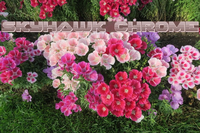 Skyhawk Chrome Example 1