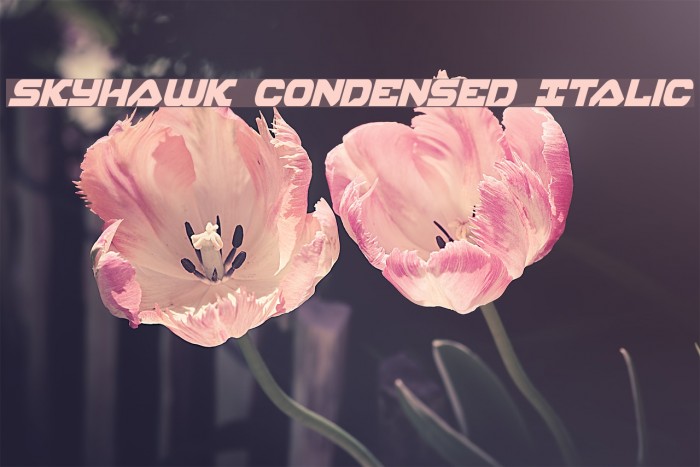 Skyhawk Condensed Italic Font examples