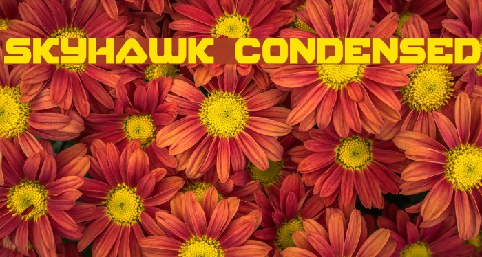 Skyhawk Condensed Font examples