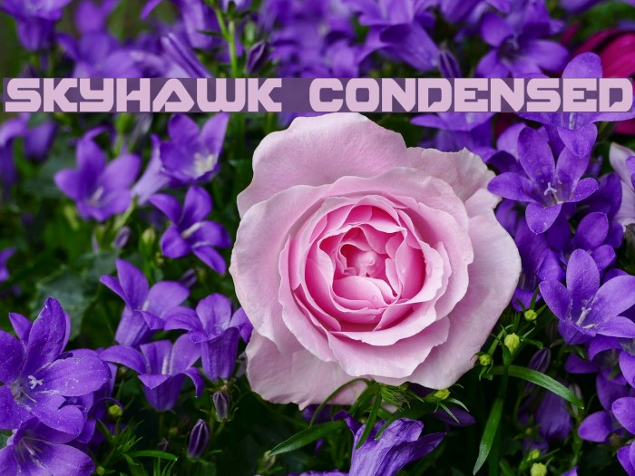 Skyhawk Condensed Font examples