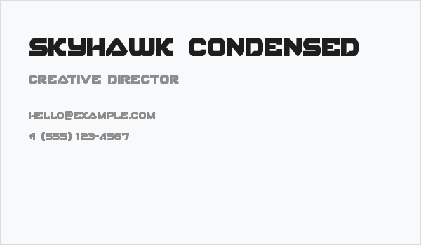 Skyhawk Condensed Business Card
