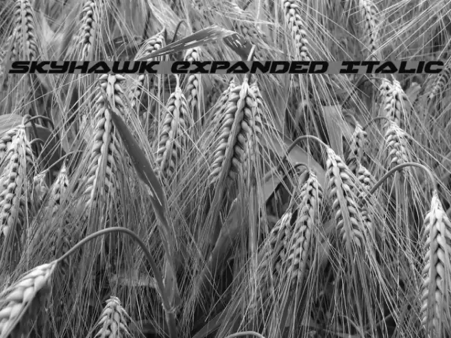 Skyhawk Expanded Italic Font examples