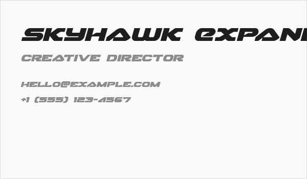 Skyhawk Expanded Italic Business Card