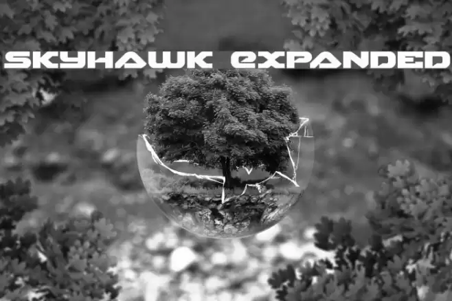 Skyhawk Expanded Font examples