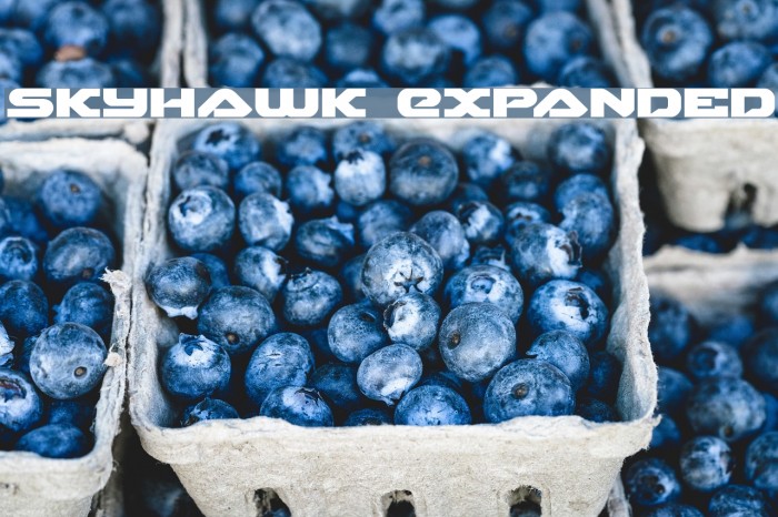 Skyhawk Expanded Example 2