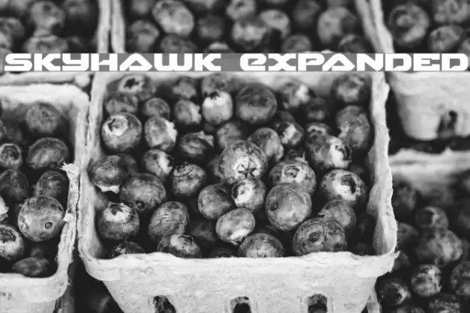 Skyhawk Expanded Font examples