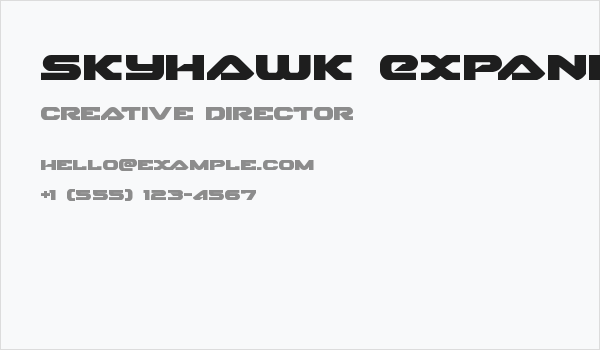 Skyhawk Expanded Business Card