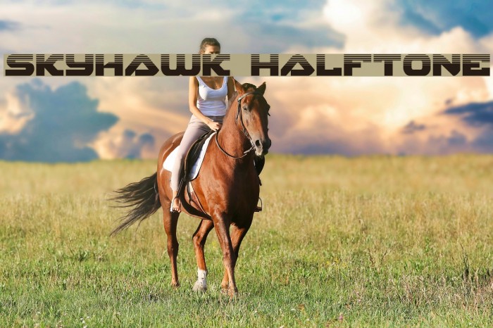 Skyhawk Halftone Font examples
