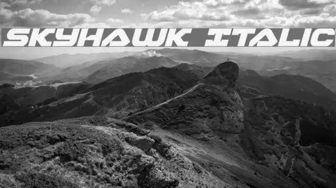 Skyhawk Italic Fuentes examples