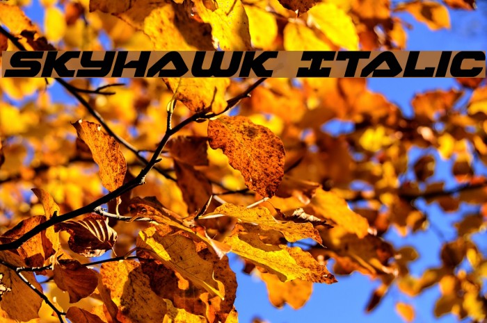Skyhawk Italic Font examples