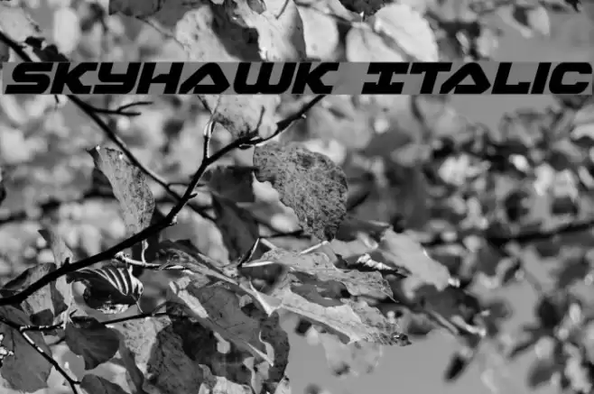 Skyhawk Italic Fuentes examples