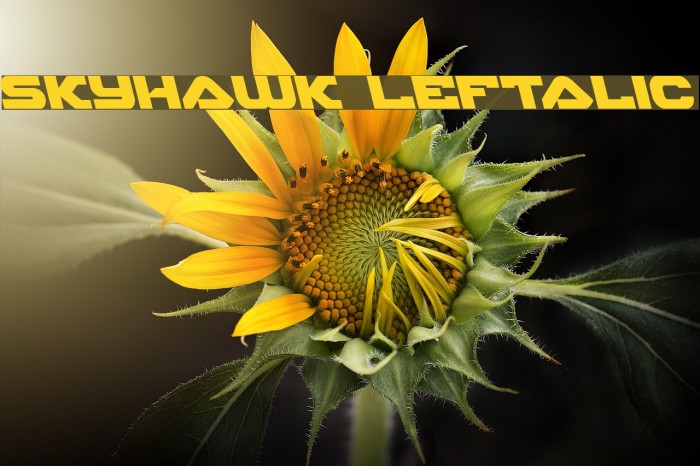 Skyhawk Leftalic Font examples