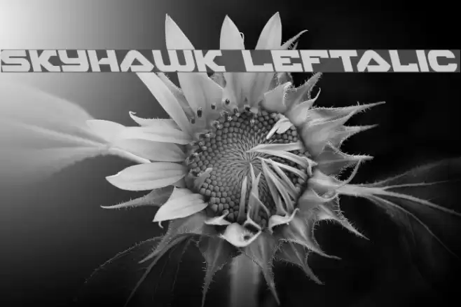 Skyhawk Leftalic फ़ॉन्ट examples