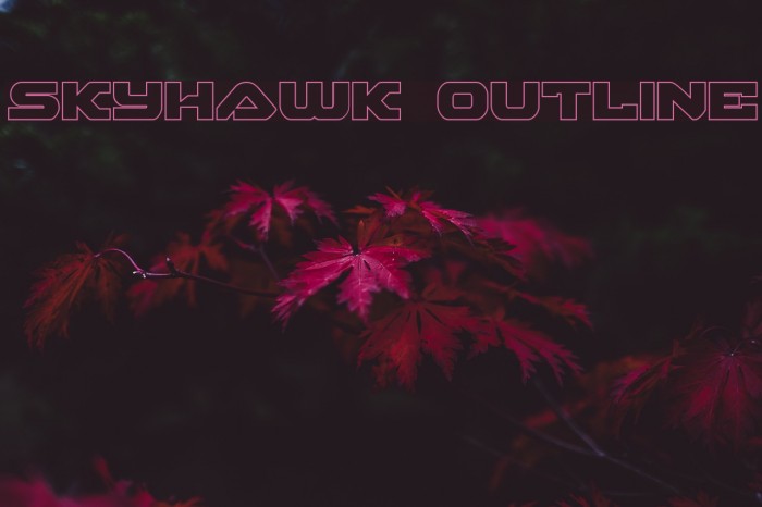 Skyhawk Outline Font examples