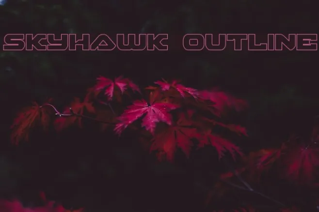Skyhawk Outline Example 2