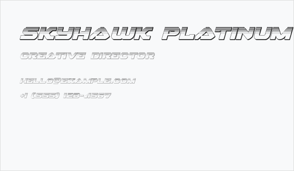 Skyhawk Platinum Italic Business Card