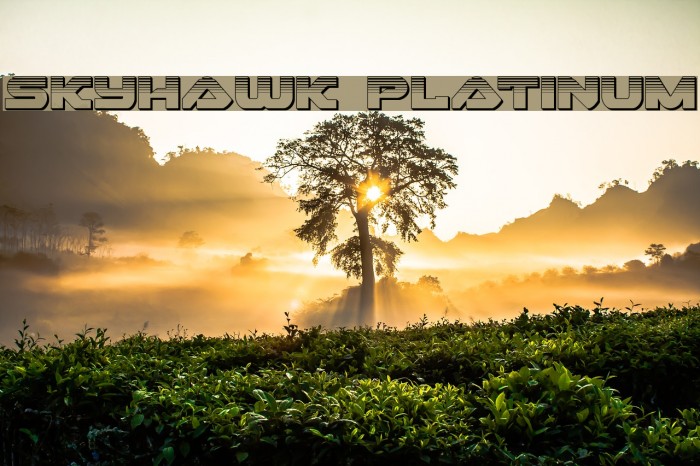 Skyhawk Platinum Font examples