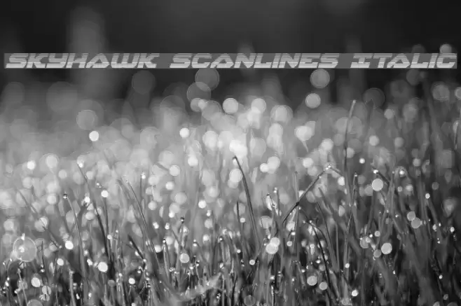 Skyhawk Scanlines Italic フォント examples
