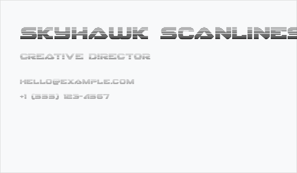 Skyhawk Scanlines Business Card