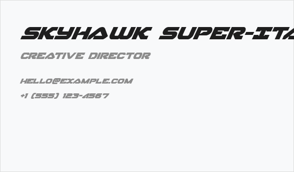 Skyhawk Super-Italic Business Card