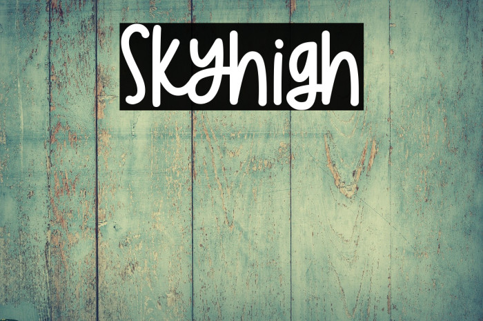 Skyhigh Example 1