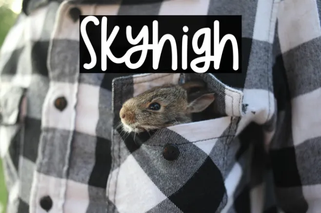 Skyhigh Example 2
