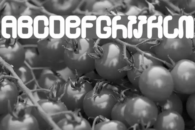 Skylab 600 Font examples