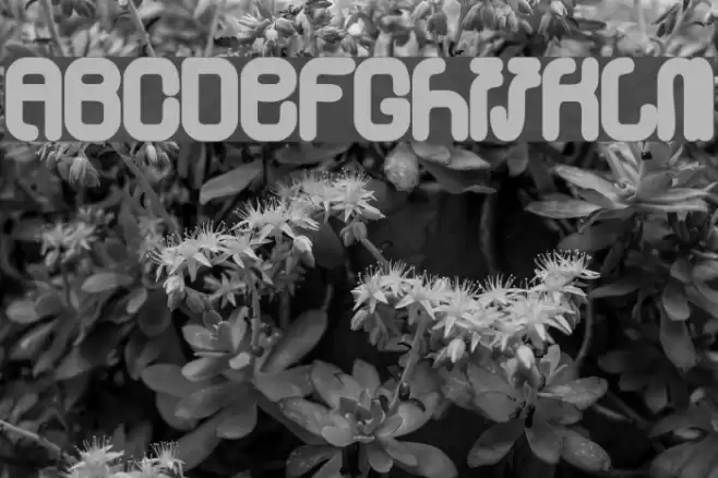 Skylab 600 Font examples