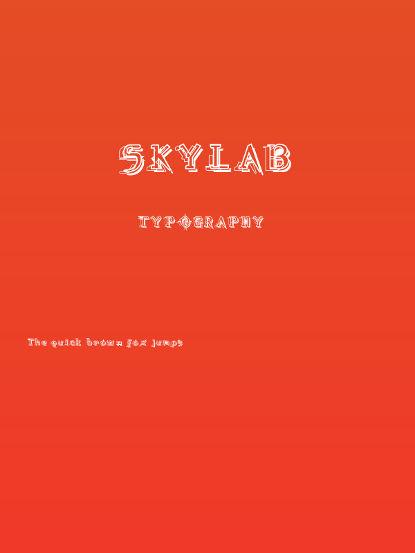 Skylab Poster