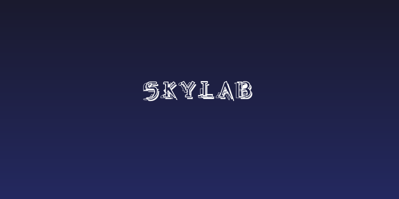 Skylab Social Header
