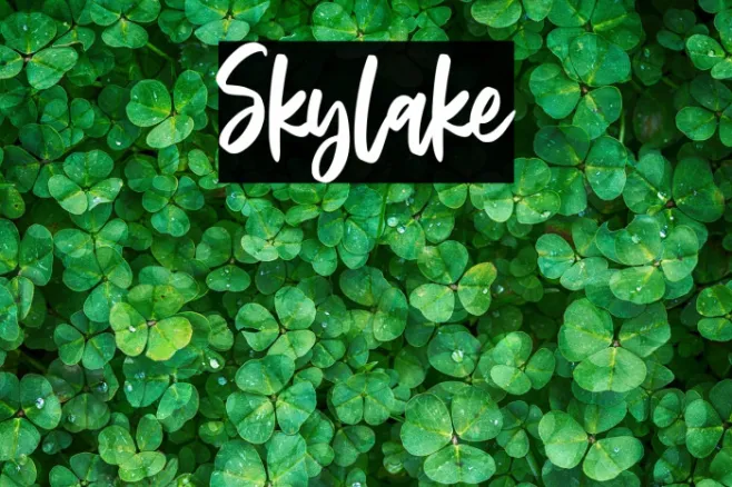 Skylake Example 1