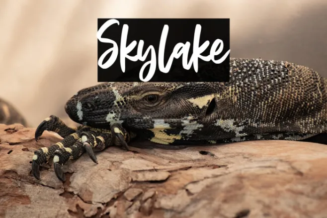 Skylake Example 2