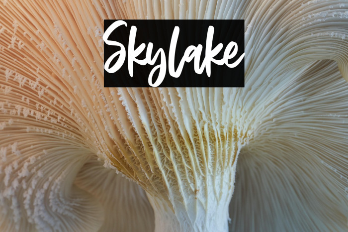 Skylake Example 3