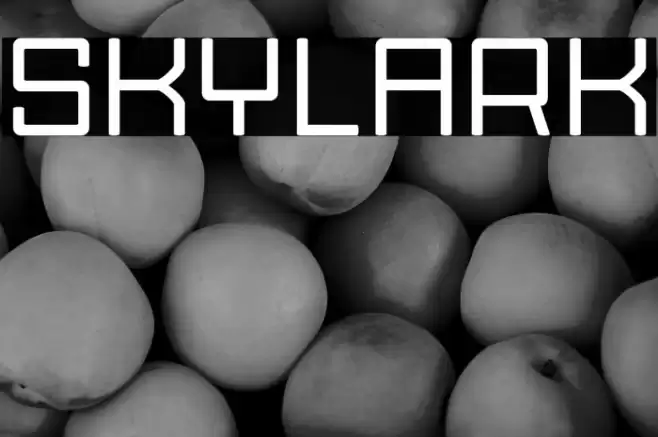 Skylark Font examples