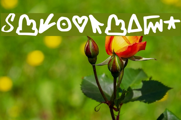 Skylarking Example 3