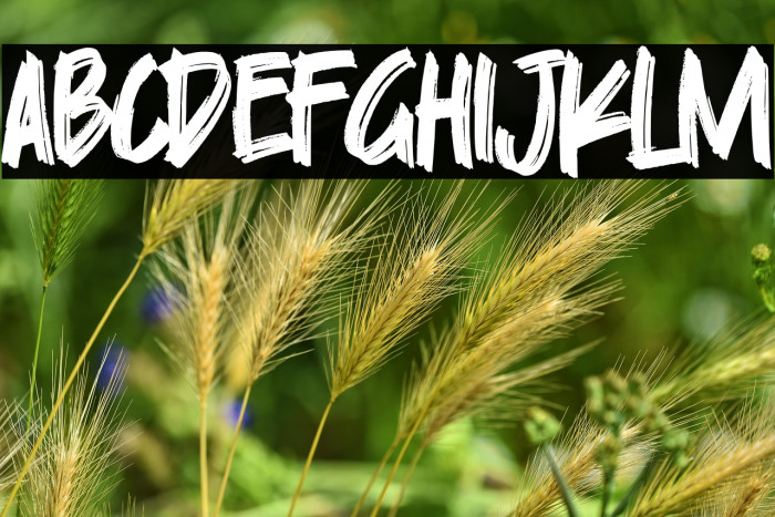 Skylarr Scott Example 1