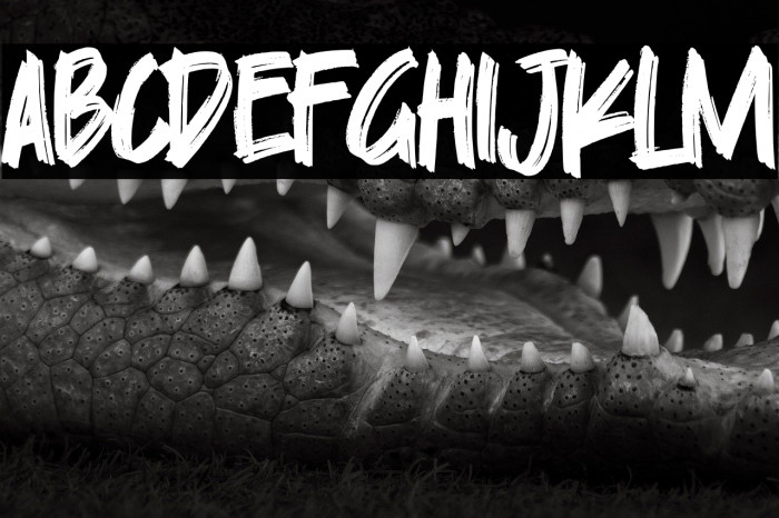 Skylarr Scott Example 3