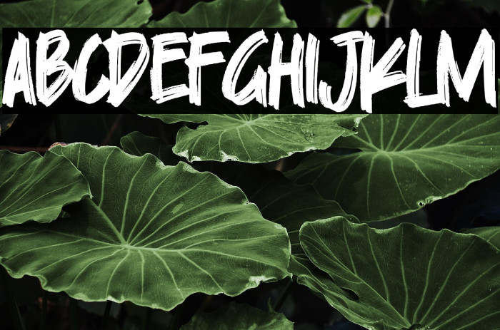 Skylarr Scott Example 1