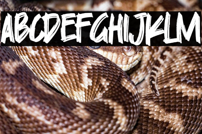 Skylarr Scott Example 2