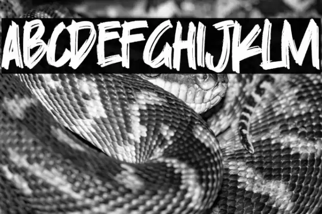 Skylarr Scott Font examples